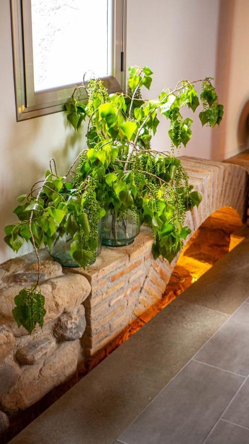 Molino Candeal Boutique&apartamentos Hotel Caniles